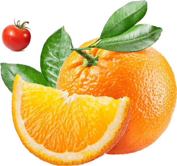 Gıda İhracatında Sık Yapılan Hatalar ve Bunlardan Kaçınma Yolları